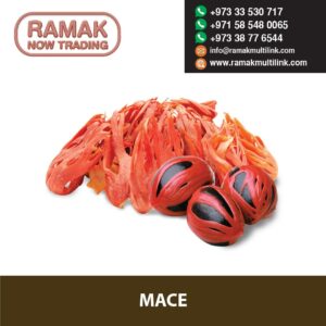 RAMAK (11)